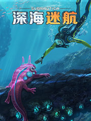印尼产的阿迪达斯便宜